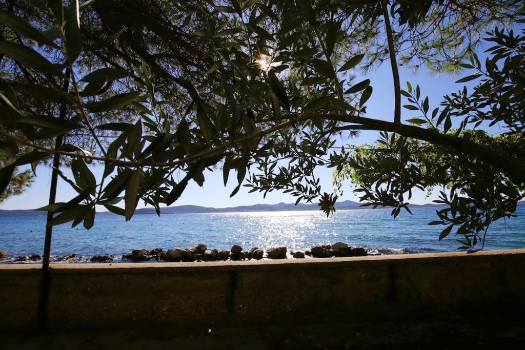 Appartement Center - Directly On The Sea Zadar